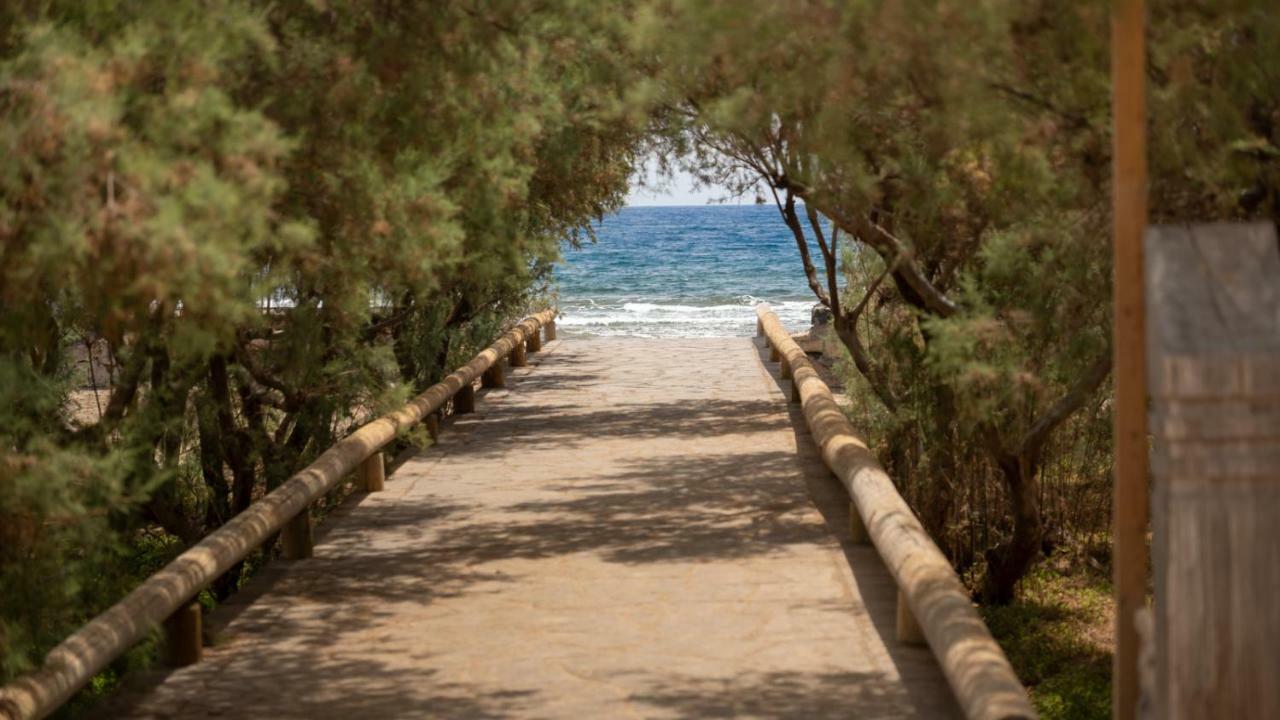 Riazor, El Medano Beach Leilighet Eksteriør bilde